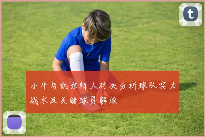 小牛与凯尔特人对决分析球队实力战术及关键球员解读