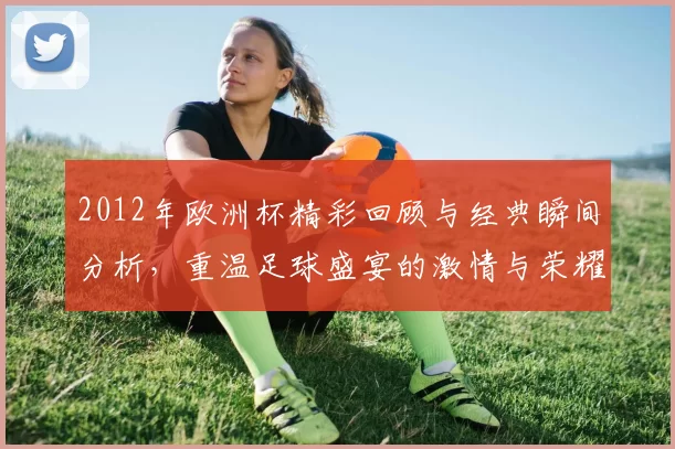2012年欧洲杯精彩回顾与经典瞬间分析，重温足球盛宴的激情与荣耀