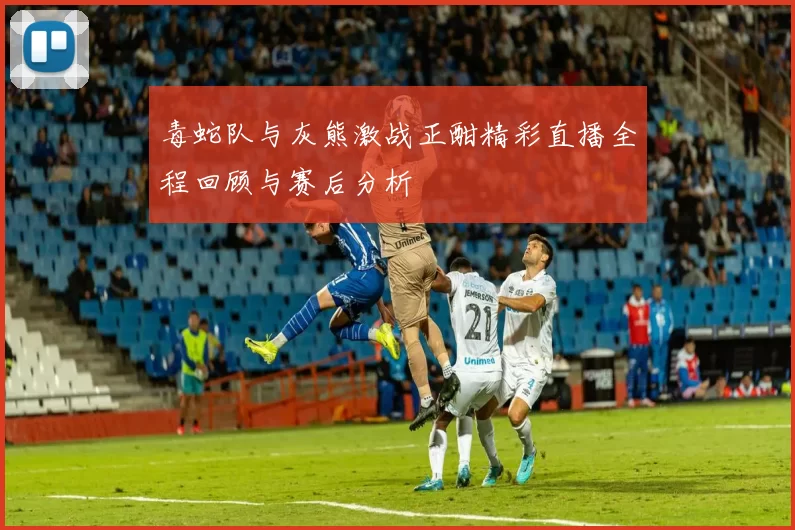 毒蛇队与灰熊激战正酣精彩直播全程回顾与赛后分析