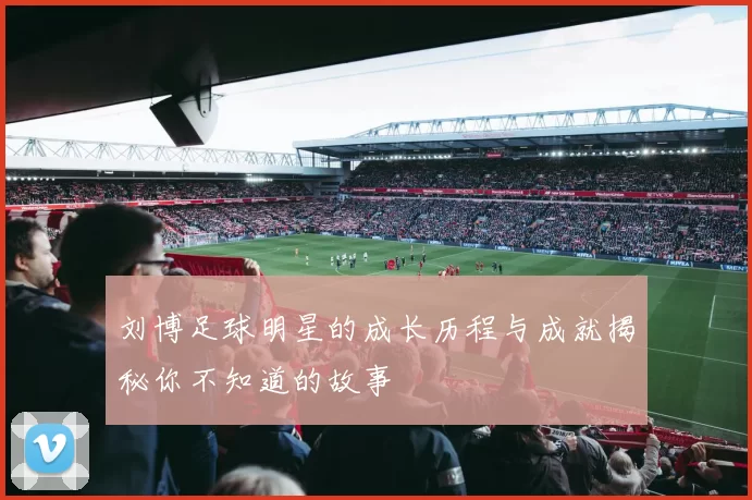 刘博足球明星的成长历程与成就揭秘你不知道的故事