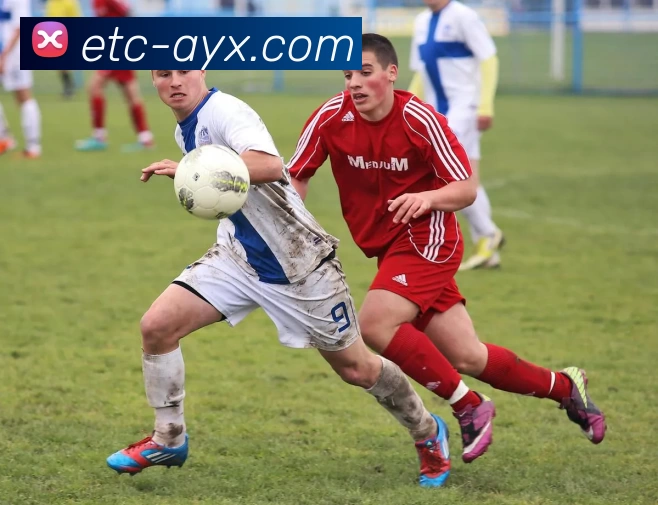 爱游戏品牌故事