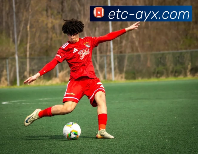 爱游戏服务体系